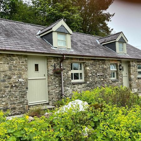 Vila Crug Yr Eryr Isaf Llandysul Exteriér fotografie