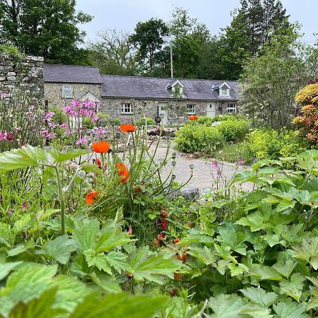 Vila Crug Yr Eryr Isaf Llandysul Exteriér fotografie