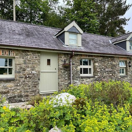 Vila Crug Yr Eryr Isaf Llandysul Exteriér fotografie