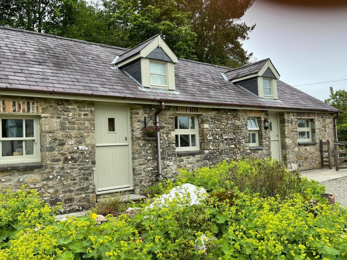 Vila Crug Yr Eryr Isaf Llandysul Exteriér fotografie