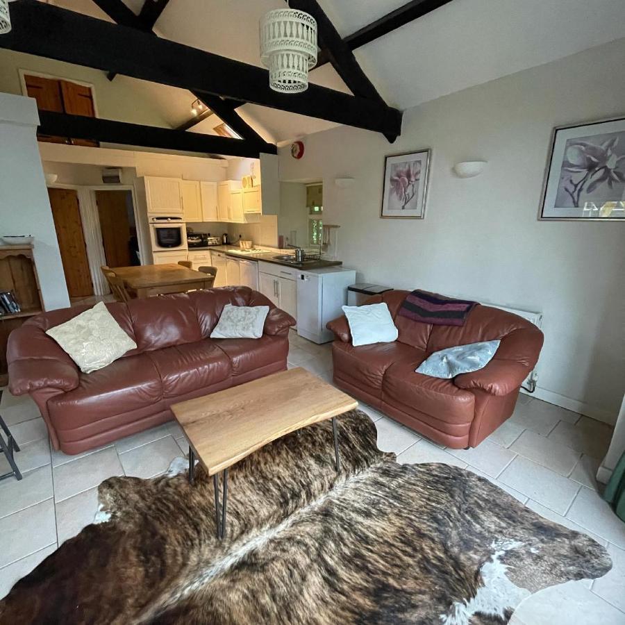 Vila Crug Yr Eryr Isaf Llandysul Exteriér fotografie