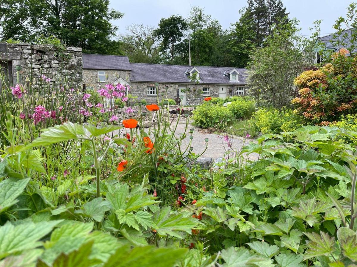 Vila Crug Yr Eryr Isaf Llandysul Exteriér fotografie