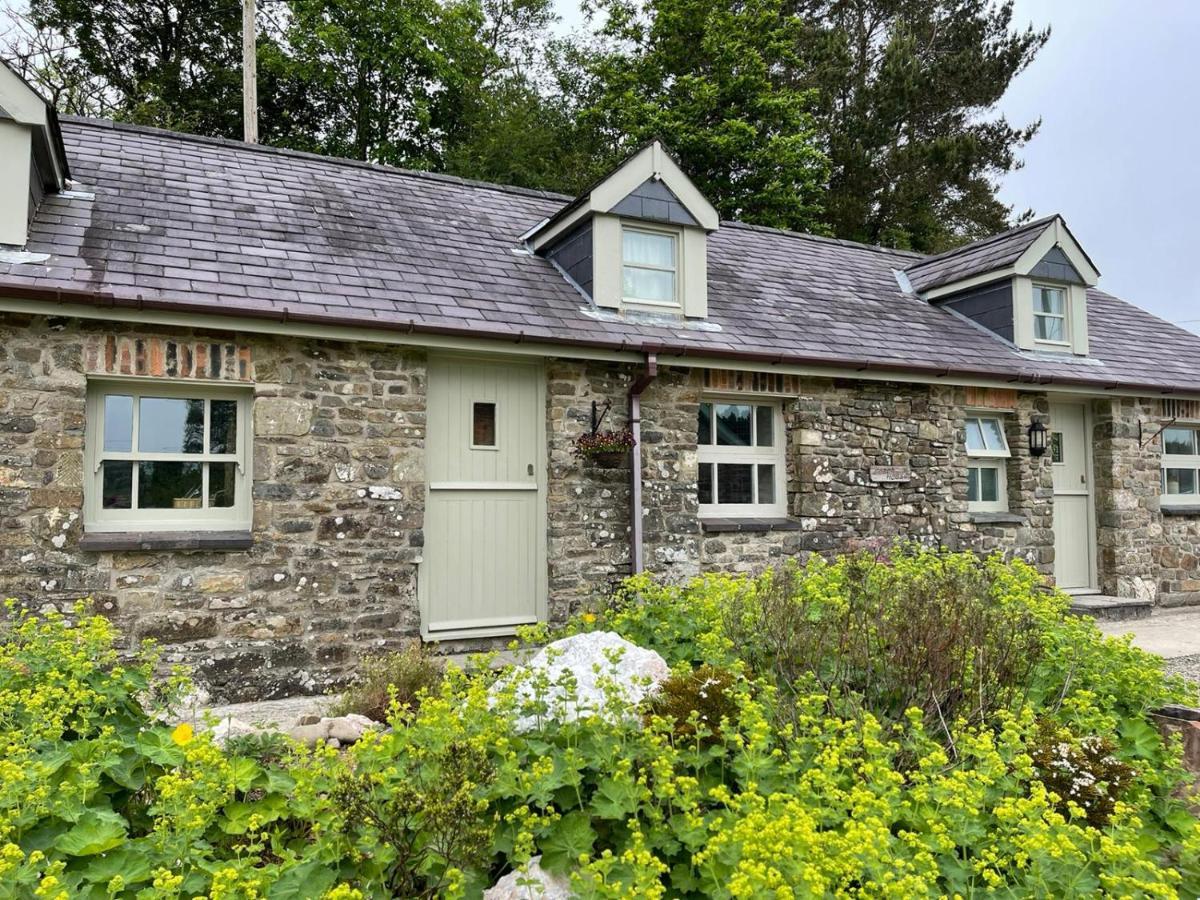 Vila Crug Yr Eryr Isaf Llandysul Exteriér fotografie